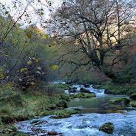 Apartamento Jardines Del Sella Apartment Cangas de Onis Luaran gambar